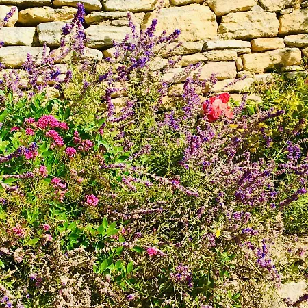 Villa sous la tonnelle à Gordes Extérieur photo